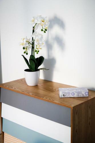 Apartamento Bnbook - Don Sturzo