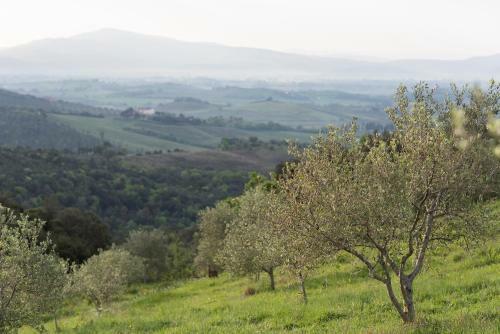 Sequerciani