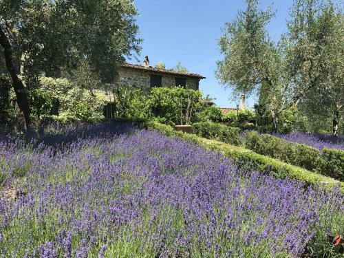 Villa Macennere