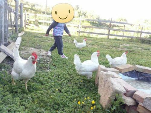 Agroturismo Casale Valle Agnese