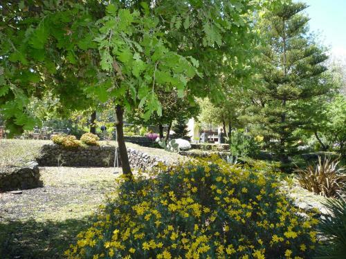 Bed & Breakfast Casa Gallida