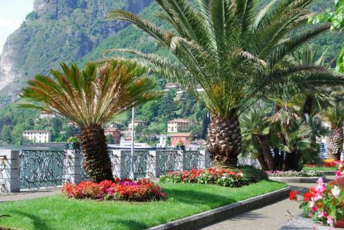 Apartamento Santa Anna