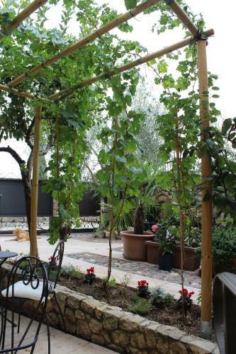 Bed & Breakfast Corte Tre Vigne