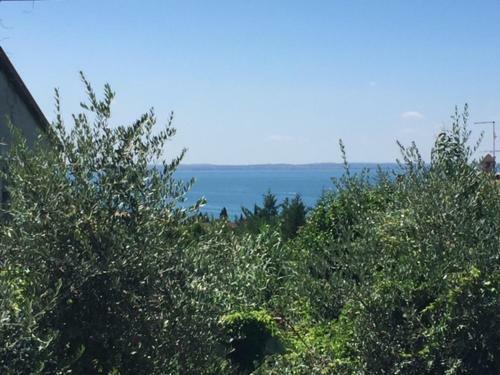 Apartamento Alloggio Tintoretto