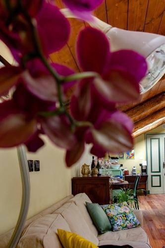Bed & Breakfast Ca D'i.