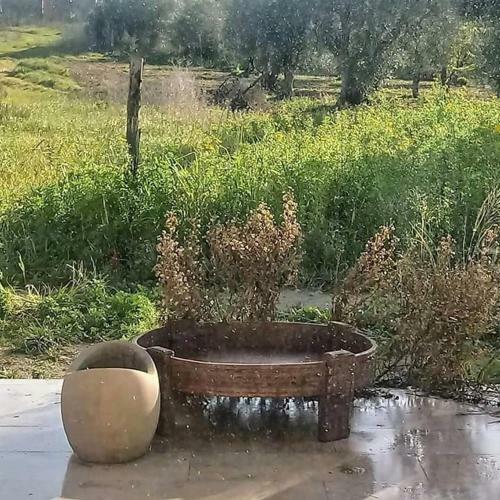 Agroturismo Cozzo Del Parroco