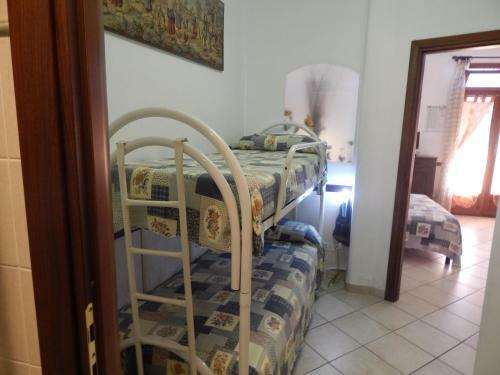 L'ulivo Di Sempre