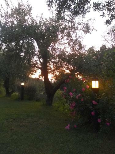 Fonte Pace Luxury Villa - A Fontanaro Property