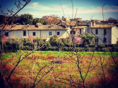 Residenza Vecchia Mola Chigi