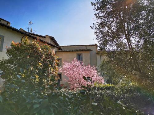 Residenza Vecchia Mola Chigi