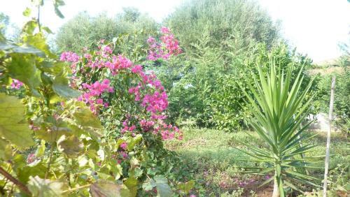 Bed & Breakfast Casale Ferro