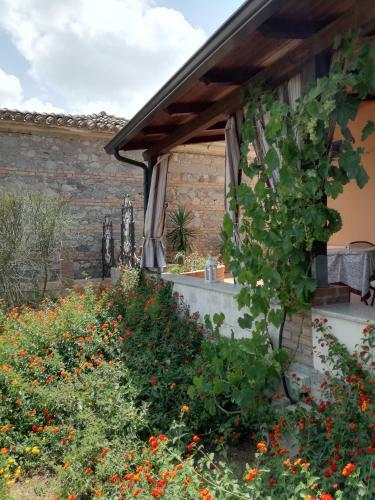 Bed & Breakfast Casale Ferro