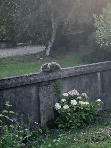 B&B La Serenissima