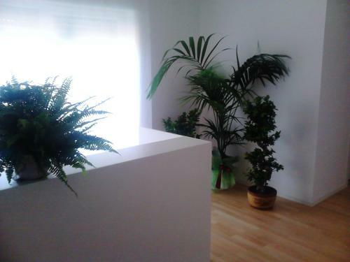 Hostal Affittacamere Rezzo