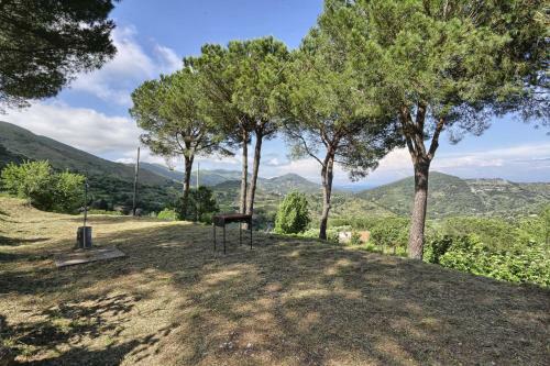 Apartamento Appartamenti Campo Al Pero App. Nr. 2