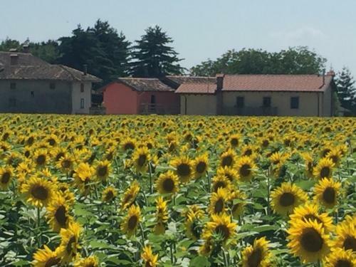 Agroturismo Agriturismo Borgo Chiasalp