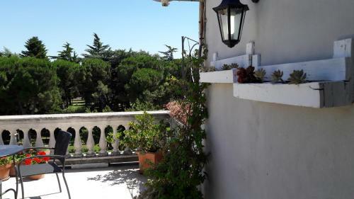 B&B Casa Laviano