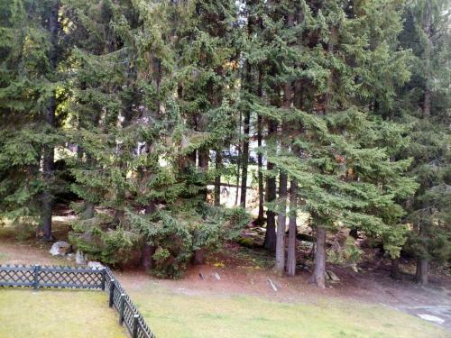 Apartamento Residenza Silvana
