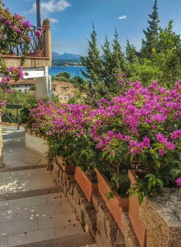 Apartamento Bellavista Marinella
