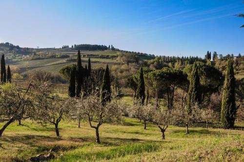 B&B Fagiolari