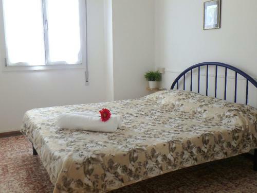 Apartamento Appartamenti Nettuno