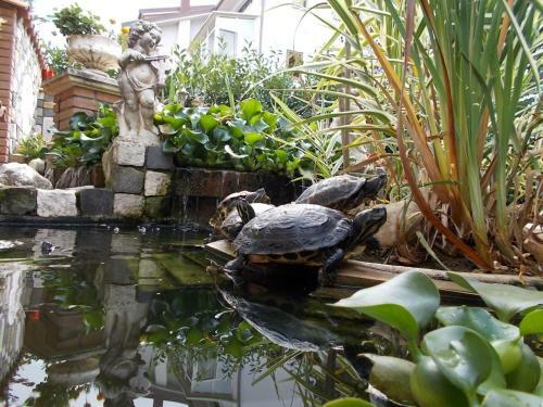 B&B Il Giardino Acquatico