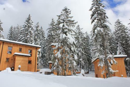 Forest Chalet Resort Felizitas