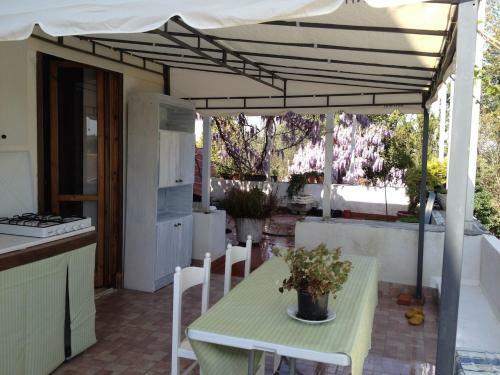 Agroturismo B&B Apricot