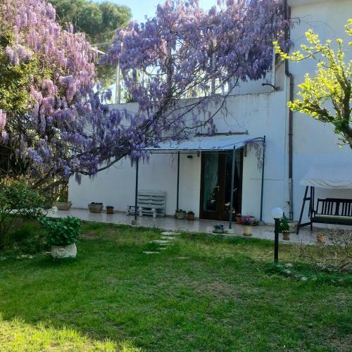 Agroturismo B&B Apricot