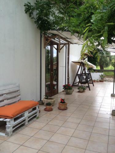 Agroturismo B&B Apricot