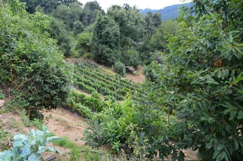 Agroturismo Agriturismo E Turre