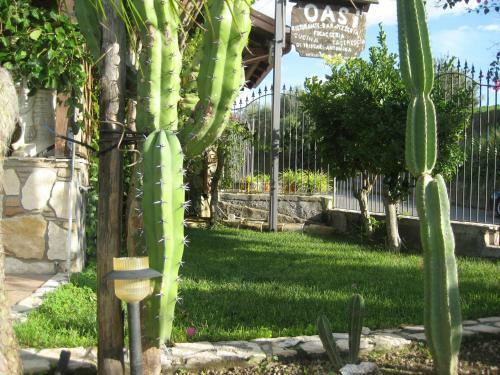 Bed & Breakfast Oasi Del Lago