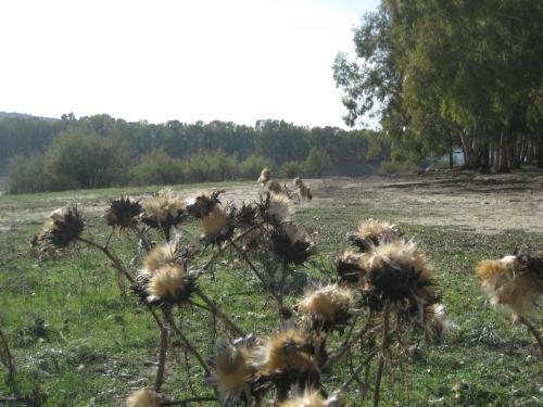 Bed & Breakfast Oasi Del Lago