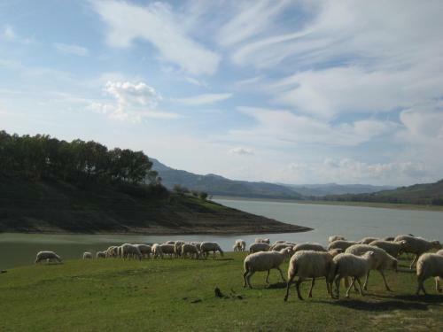 Bed & Breakfast Oasi Del Lago