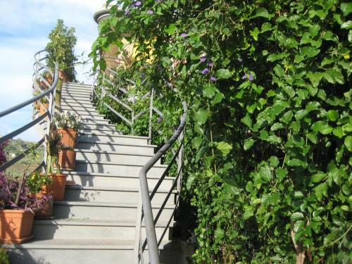 Bed & Breakfast Oasi Del Lago