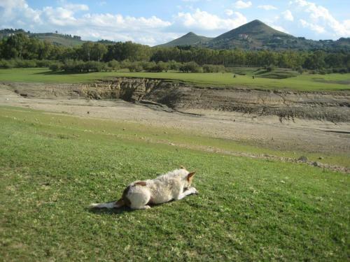Bed & Breakfast Oasi Del Lago