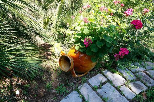 Villa Verde And Pool M215