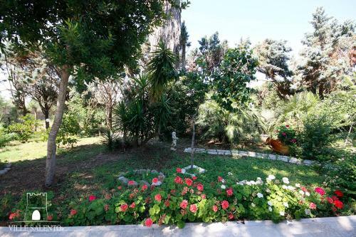 Villa Verde And Pool M215