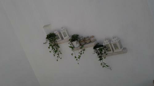Bed & Breakfast Relais Del Corso