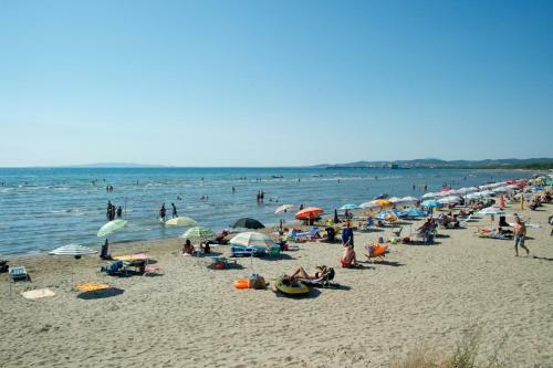 Camping Piper