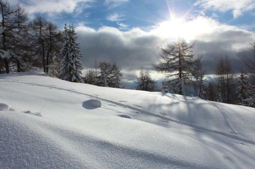 Hostal Pension Widmann