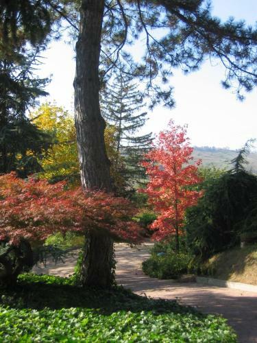 Bed & Breakfast Villa Arabella