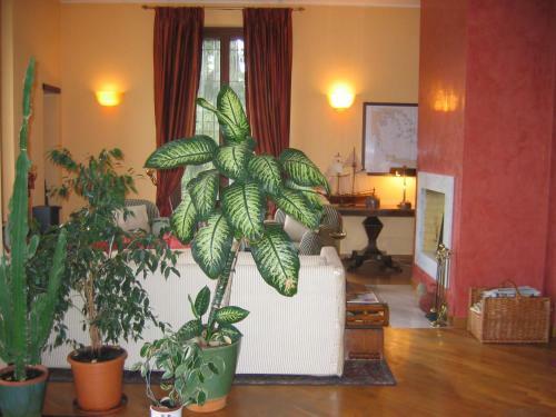 Bed & Breakfast Villa Arabella