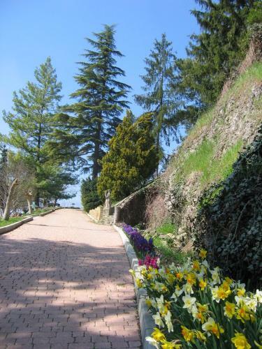 Bed & Breakfast Villa Arabella