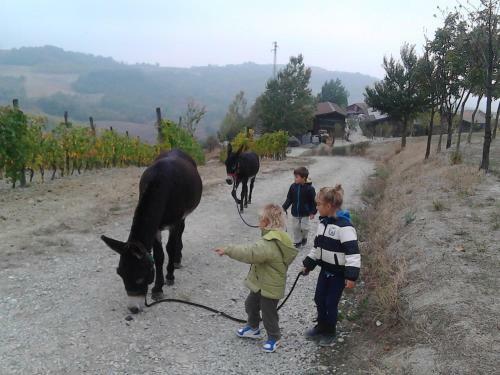 Agroturismo Valli Unite