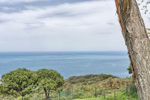 Apartamento Studio La Gorgona