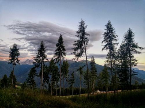 Hotel Oberhauser H�tte Rodenecker - L�sner Alm