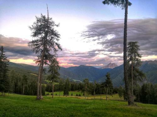 Hotel Oberhauser H�tte Rodenecker - L�sner Alm