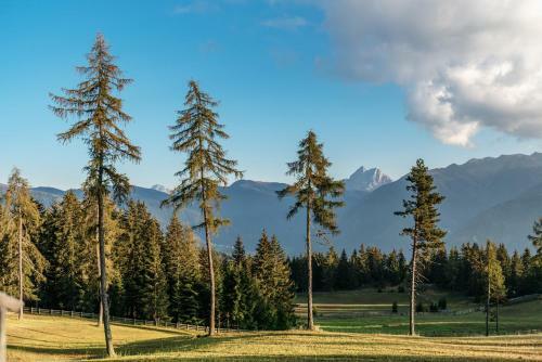 Hotel Oberhauser H�tte Rodenecker - L�sner Alm