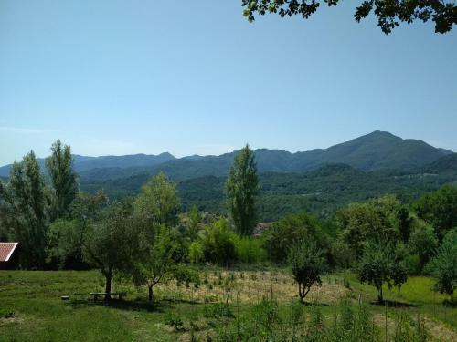 Agroturismo Agripodere Il Falco